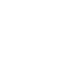 Бактерии