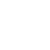 Вирусы