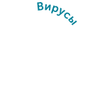 Вирусы