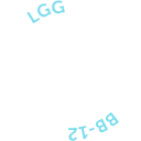 Lactobacillus rhamnosus LGG и Bifidobacterium BB-12